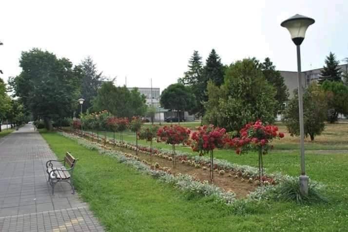 Soba Lavanda Κλάντοβο Εξωτερικό φωτογραφία